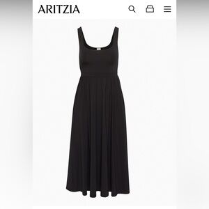 Aritzia Wilfred Free Dress